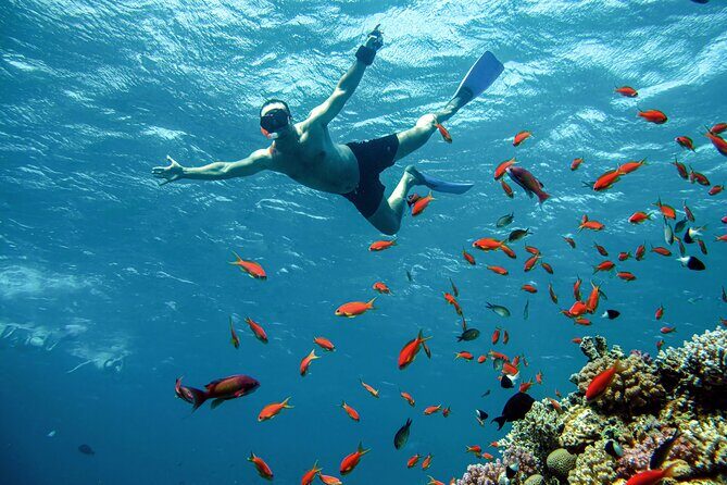 Orange Bay Snorkeling Trip with Lunch & Transfer From Hurghada - FAQ