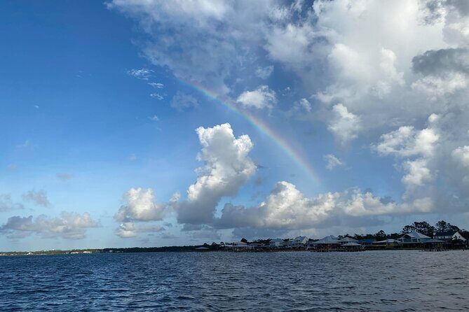 Orange Beach Dolphin Eco Boat Tour - When and Who Should Book