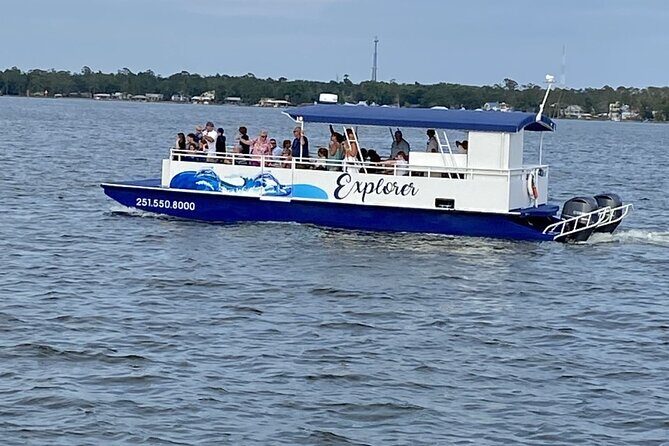 Orange Beach Dolphin Eco Boat Tour - The Sum Up: Who Is This Tour Best For?