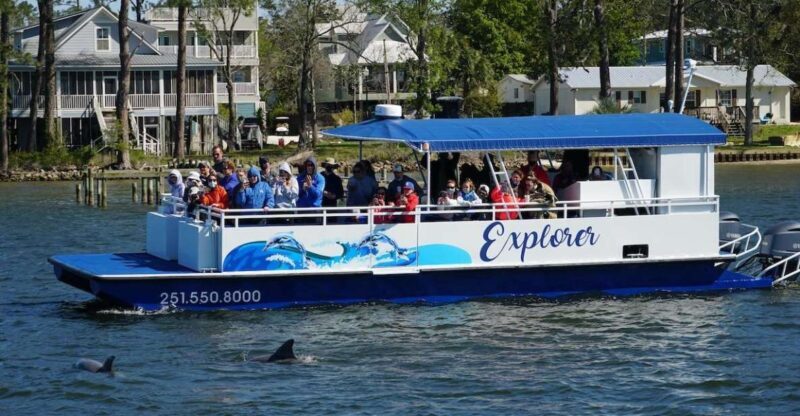Orange Beach: Dolphin-Watching Eco-Boat Tour - A Close Look at the Dolphin-Watching Eco-Boat Tour