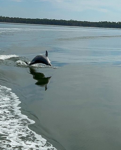 Orange Beach: Dolphin-Watching Eco-Boat Tour - Final Thoughts