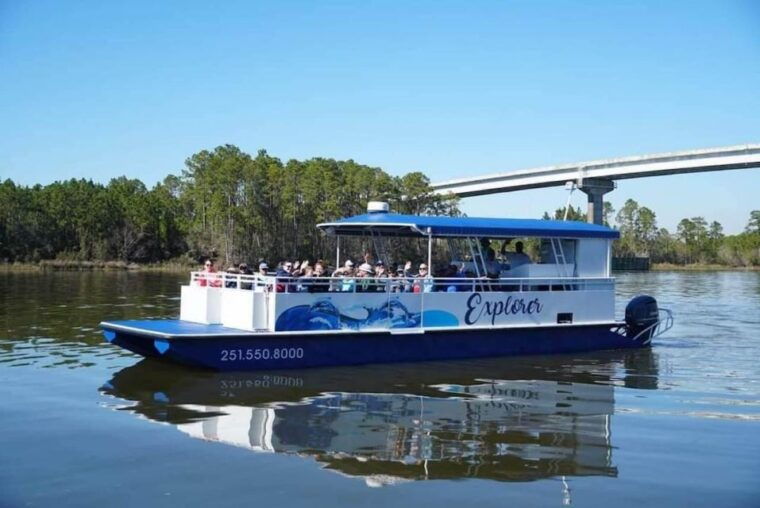 orange-beach-dolphin-watching-sunset-cruise