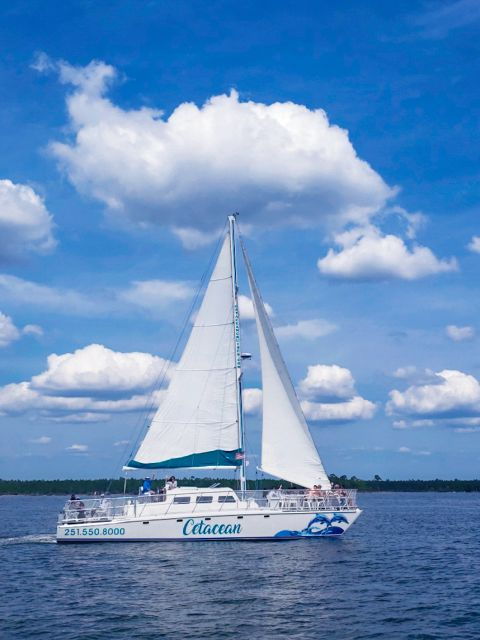 orange-beach-sun-and-sailing-cruise-aboard-catamaran