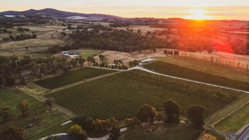 Orange: Explore with Swinging Bridge - Guided Tour & Tasting - FAQ