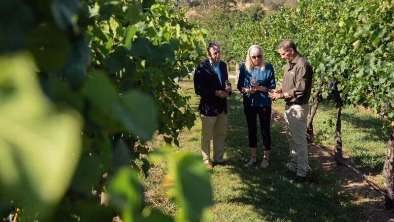 Orange: Indulge with Swinging Bridge - 5-Course Lunch & Tour - Wine Tasting with a Qualified Sommelier