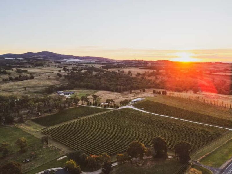 Orange: Savour with Swinging Bridge - Wine & Canapé Tasting - An In-Depth Look at the Experience