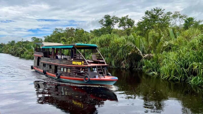 OrangUtan Borneo Pangkalan Bun 3Days Jungle Cruise Adventure - Exploring the Orangutan Borneo Pangkalan Bun 3-Day Jungle Cruise Adventure