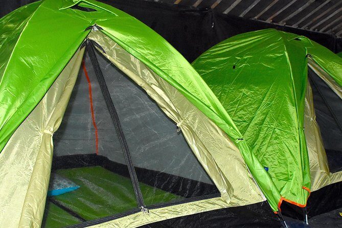 ORANGUTAN TREK (2D/1N) by EcoTravel Bukit Lawang - An In-Depth Look at the Orangutan Trek Experience