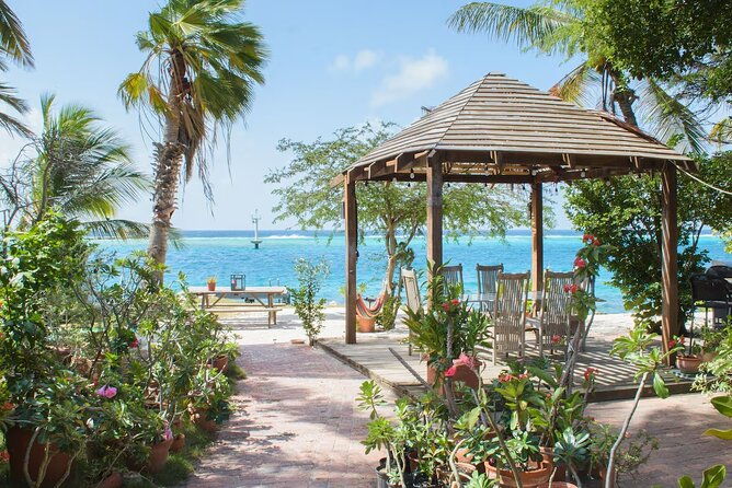 oranjestad-aua-airport-transfer-to-oranjestad-noord-cura-cabai
