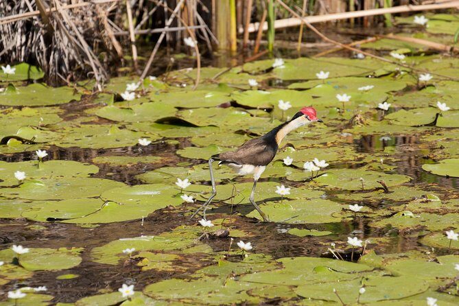 Ord River Discoverer Cruise with Sunset - Final Thoughts