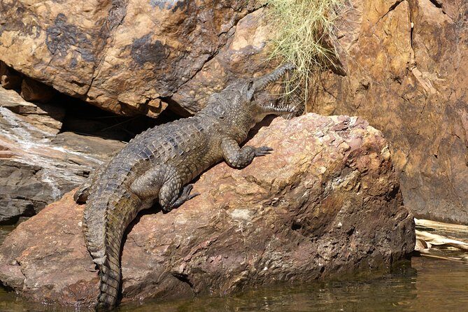 Ord River Explorer Cruise with Sunset - Final Thoughts