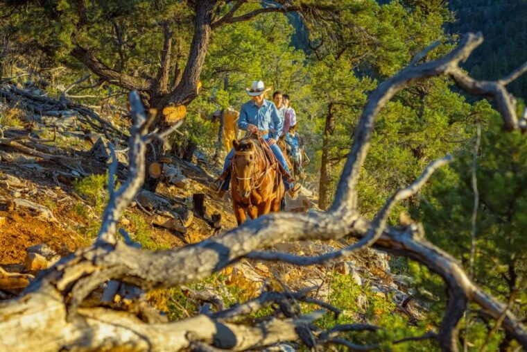 orderville-checkerboard-evening-shadow-horseback-ride