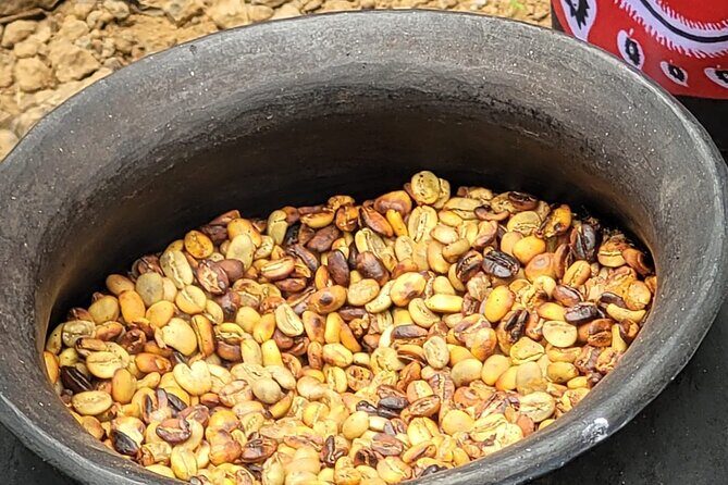 Organic Coffee Tour and Local Food Experience in Arusha - Who Will Love This Tour?