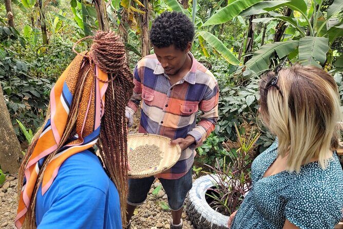 Organic Coffee Tour and Local Food Experience in Arusha - Practical Details and Tips