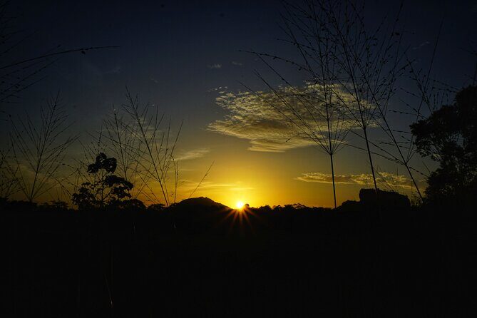 Organic Cooking Class Sigiriya TASTY TASKS - Who Will Love This Tour?