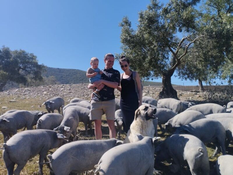 organic-iberian-pig-farm-experience-foodecofriendly