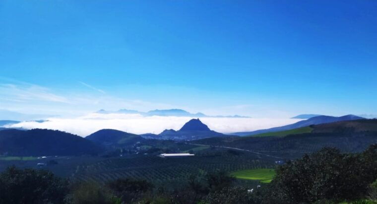 organic-iberian-pig-farm-experience-foodecofriendly