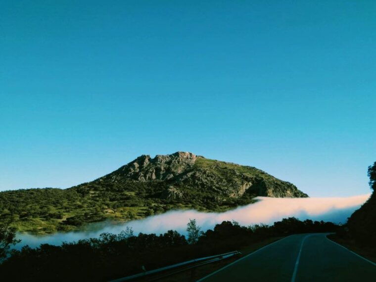 organic-iberian-pig-farm-experience-foodecofriendly