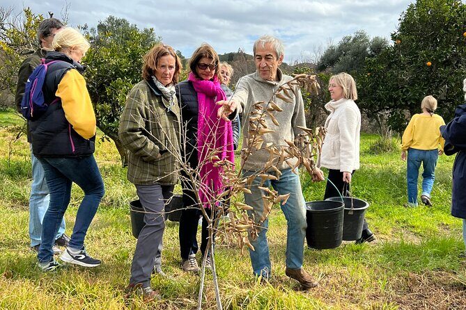 Organic Orange Picking & Jam Making with Farm-to-Table Lunch - An In-Depth Look at the Experience