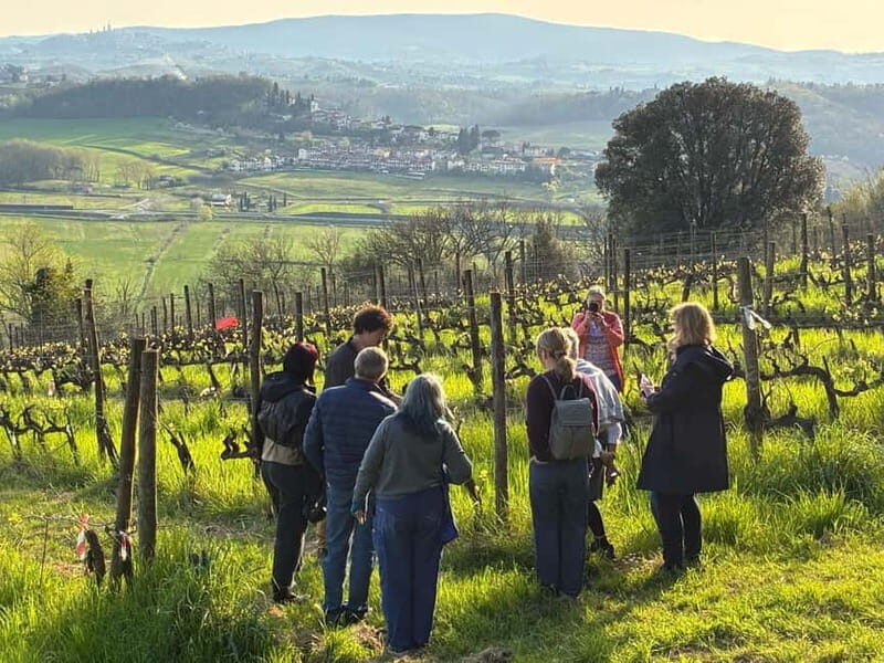 Organic Wine and Food Tasting at Historic Fattoria Majnoni - Exploring Fattoria Majnoni: An Authentic Tuscan Experience  