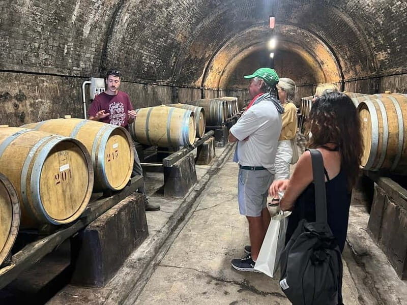 Organic Wine and Food Tasting at Historic Fattoria Majnoni - Is This Tour Worth It? Analyzing Value and Experience  