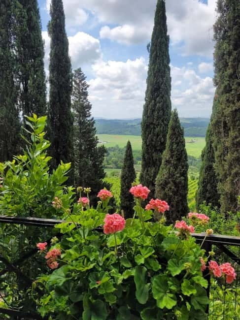 Organic Wine and Food Tasting at Historic Fattoria Majnoni - Who Will Love This Experience?  