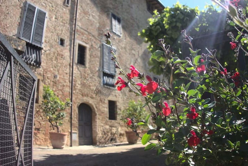 Organic Wine and Food Tasting at Historic Fattoria Majnoni - Frequently Asked Questions (FAQ)  
