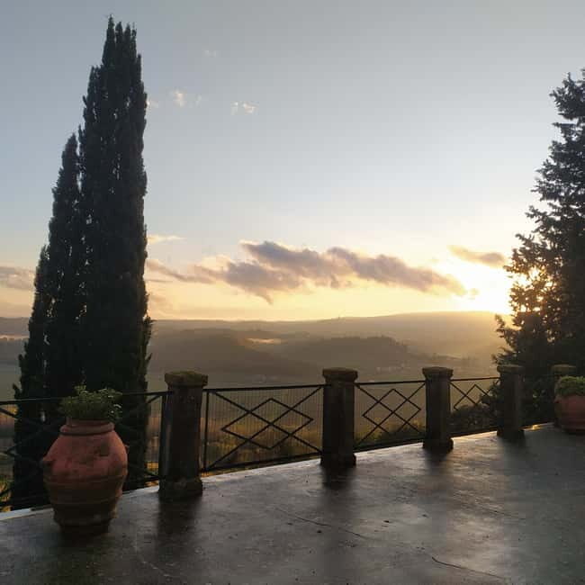 Organic Wine and Food Tasting at Historic Fattoria Majnoni - Final Thoughts  