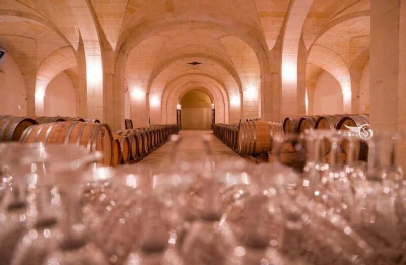 Organic Wine and Olive Oil Tasting Experience near Lecce - A Closer Look at the Experience