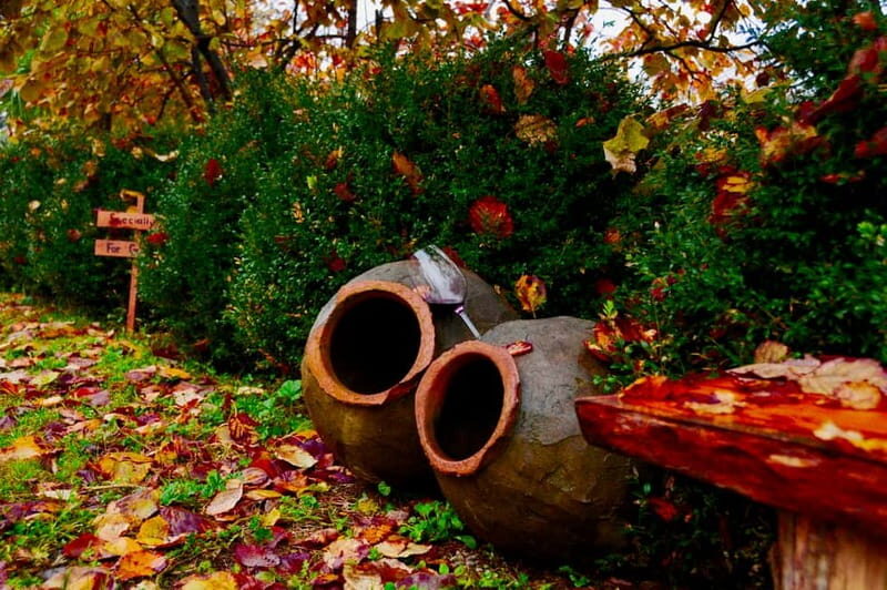Organic Wine Full Day Private Tour With Tastings and Lunch - Why This Tour Stands Out
