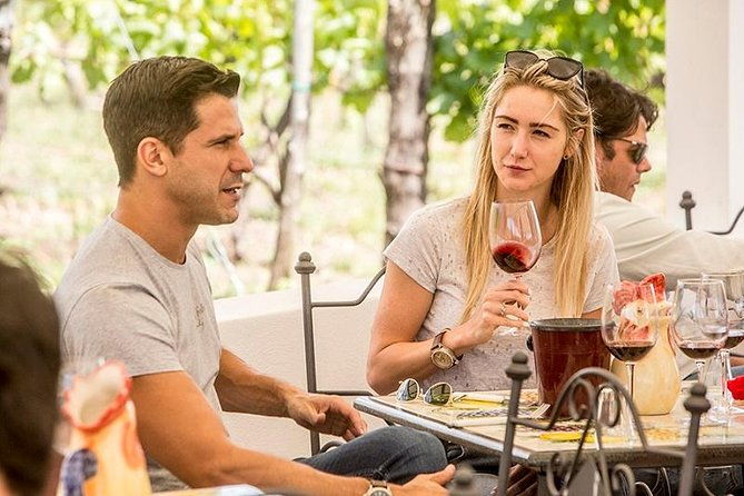 organic-wine-tasting-lunch-on-vesuvius-with-transfer-from-sorrento-peninsula