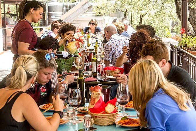 organic-wine-tasting-lunch-on-vesuvius-with-transfer-from-sorrento-peninsula