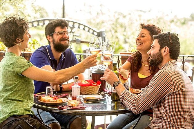 organic-wine-tasting-lunch-on-vesuvius-with-transfer-from-sorrento-peninsula