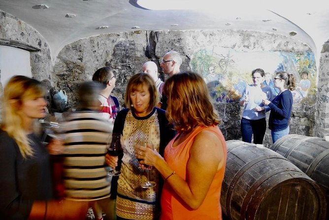 organic-wine-tasting-mozzarella-and-gnocchi-workshop-tiramisu