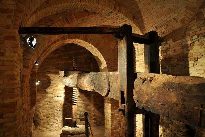 organic-wine-tasting-professional-tasting-of-olive-oil-in-the-oil-museum