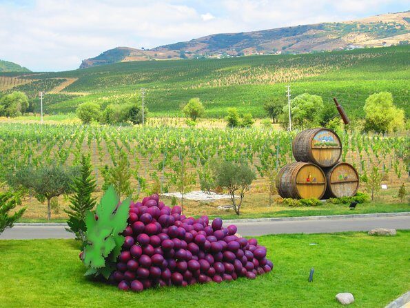 Organic Wine Tour Shamakhi with Local Lunch - An Honest Breakdown of the Tour Experience