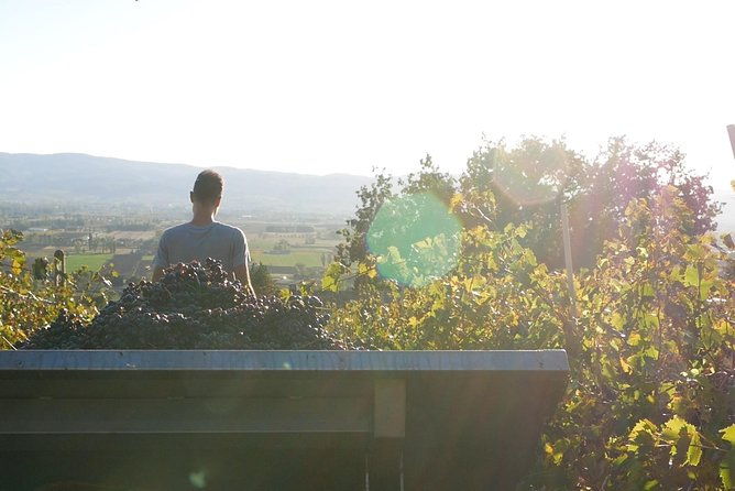 organic-winery-tour-with-full-lunch-from-assisi
