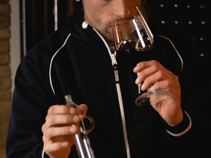 Organic Winery Visit & Wine Tasting with Food in Pavia - The Value of This Experience