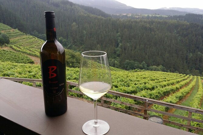 organic-winery-visit-with-tasting-in-bilbao