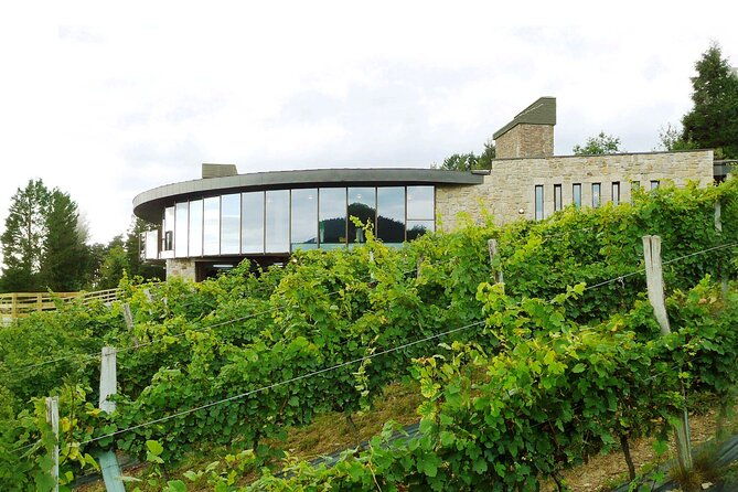 organic-winery-visit-with-tasting-in-bilbao