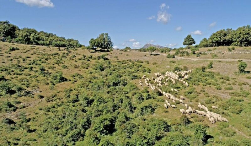 orgosolo-4x4-private-tour-in-supramonte-w-murals-visit