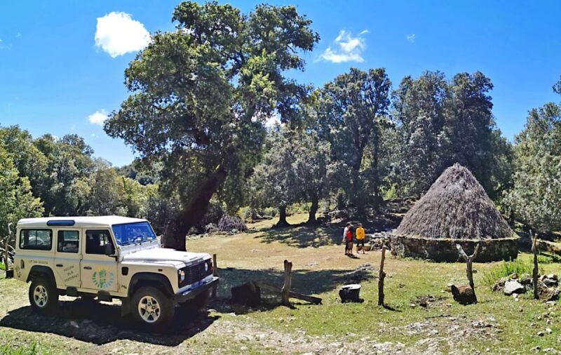 orgosolo-experience-murals-and-culture-with-a-typical-lunch