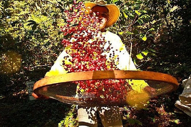 original-historic-coffee-farm-guided-tour-with-transfer