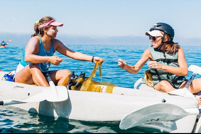 original-la-jolla-sea-cave-kayak-tour-for-two
