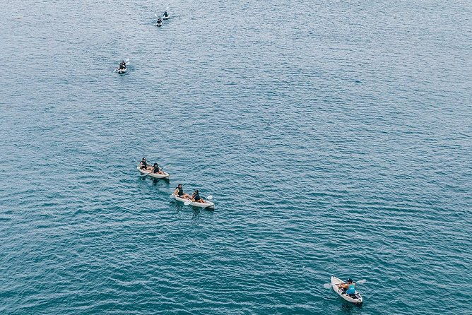 original-la-jolla-sea-cave-kayak-tour-for-two