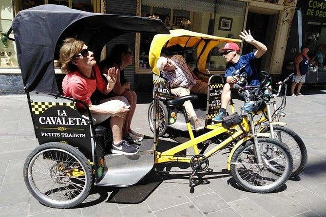 original-nice-city-tour-pedicab-velo-taxi