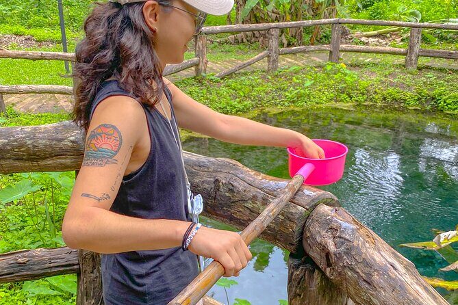 Original Sticky Waterfalls and Thai Cooking Course Premium - Who Should Consider This Tour?