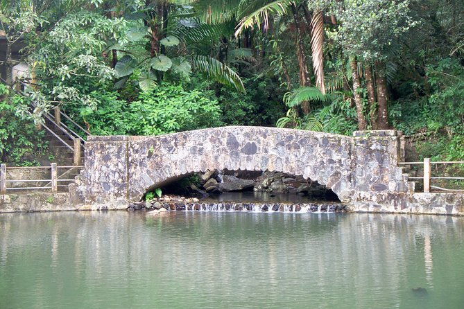 original-tropical-rainforest-and-beach-adventure
