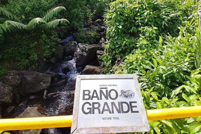 original-tropical-rainforest-and-beach-adventure