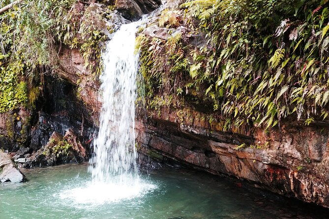 original-tropical-rainforest-and-beach-adventure